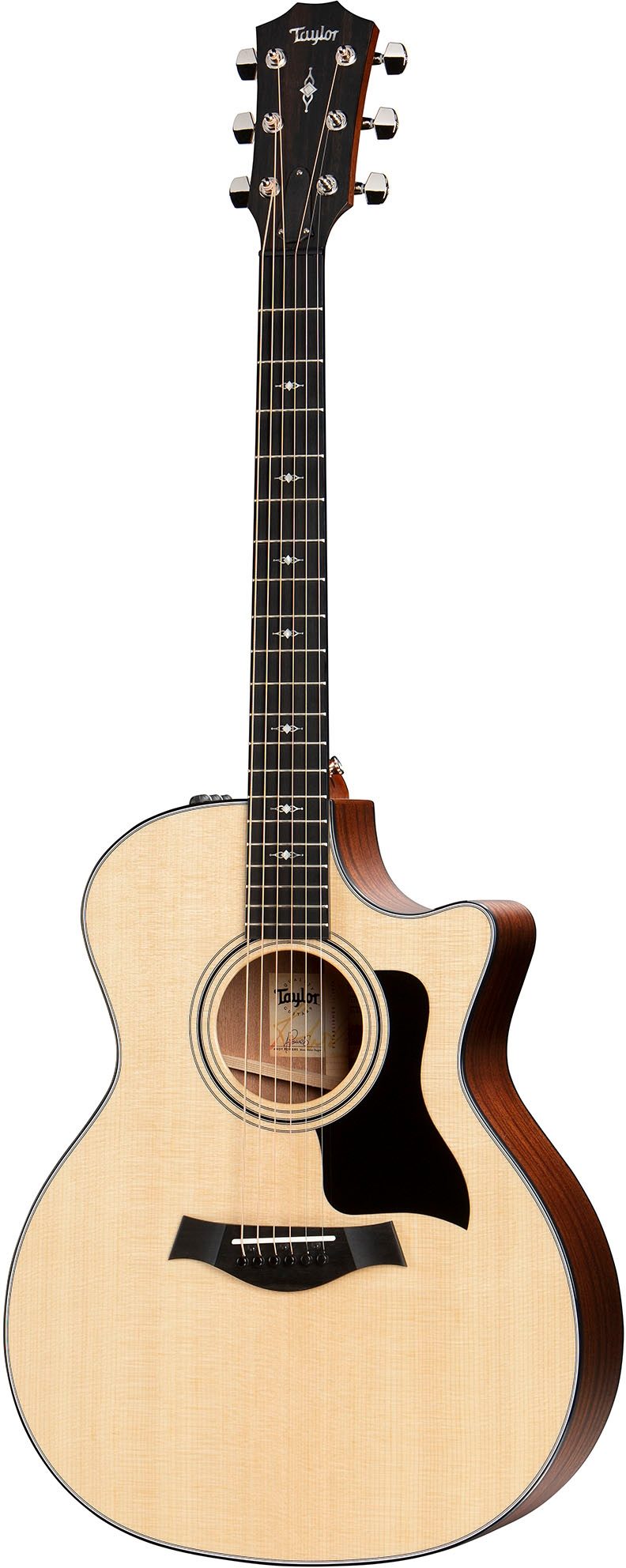 Taylor 314ce Acoustic-Electric Guitar (with Case), Action Position Front