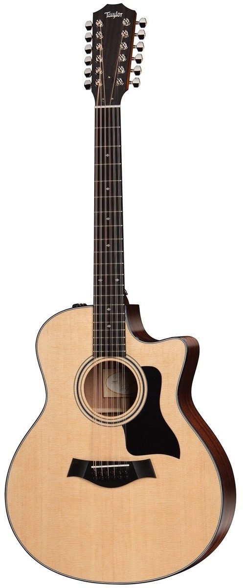 Taylor 356ce Grand Symphony Acoustic-Electric Guitar, 12-String (with Case), Main