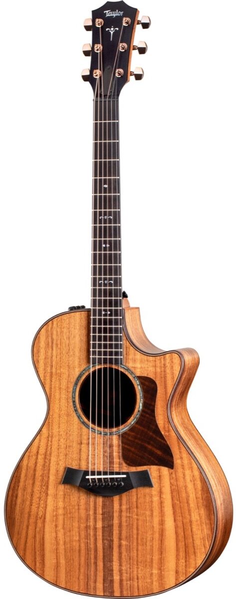 Taylor 722ce Koa Acoustic-Electric Guitar (with Case), Main