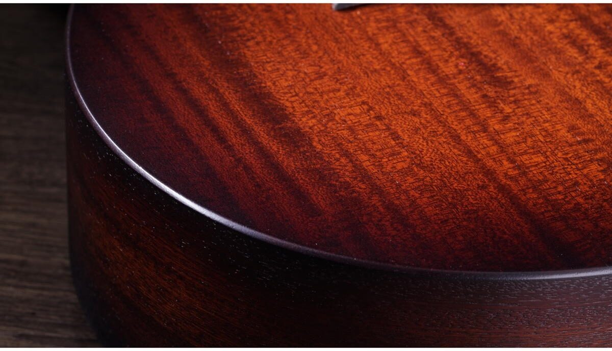 Taylor AD21e Acoustic-Electric Guitar (with AeroCase), View