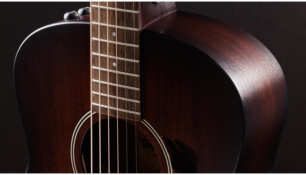 Taylor AD21e Acoustic-Electric Guitar (with AeroCase), View