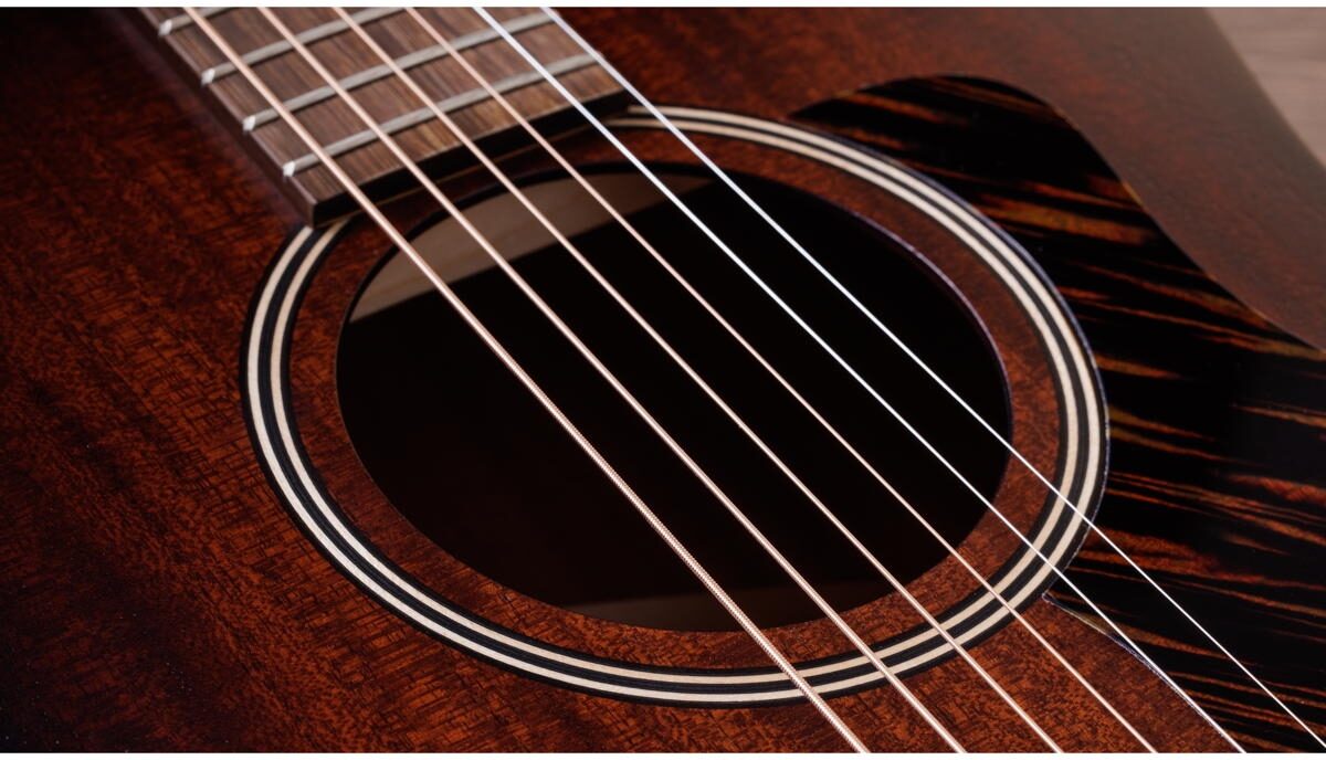 Taylor AD21e Acoustic-Electric Guitar (with AeroCase), View