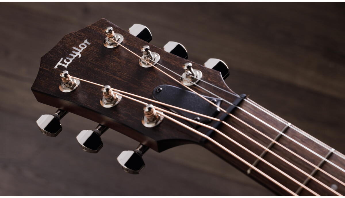 Taylor AD21e Acoustic-Electric Guitar (with AeroCase), View