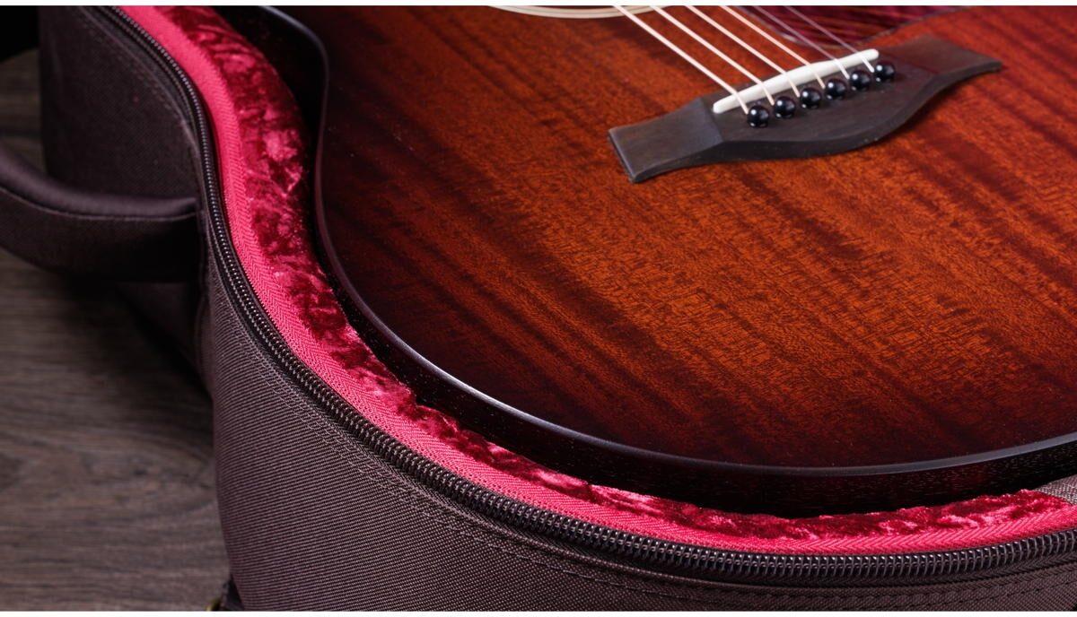 Taylor AD21e Acoustic-Electric Guitar (with AeroCase), View