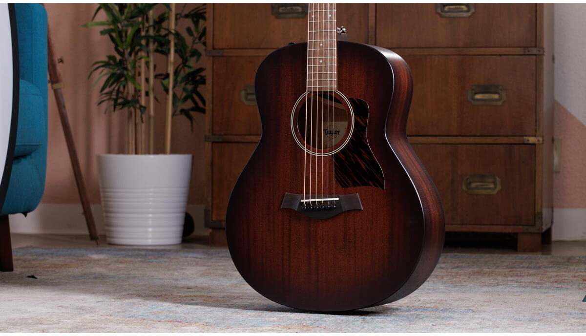 Taylor AD21e Acoustic-Electric Guitar (with AeroCase), View