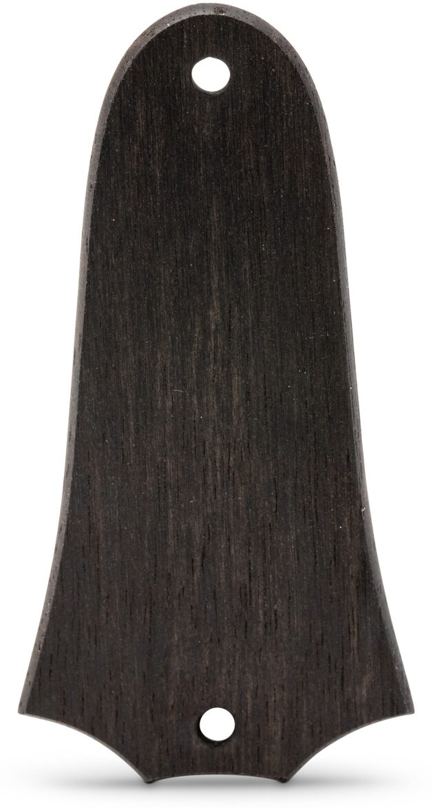 Taylor Truss Rod Cover, Ebony, 2 Hole, Action Position Back