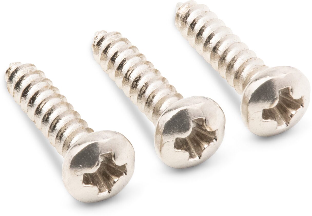 Taylor Truss Rod Cover Screws, Chrome, Action Position Back