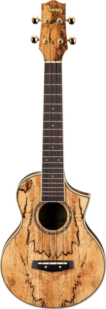 Ibanez UEW20 Concert Ukulele (with Gig Bag), Spalted Mango