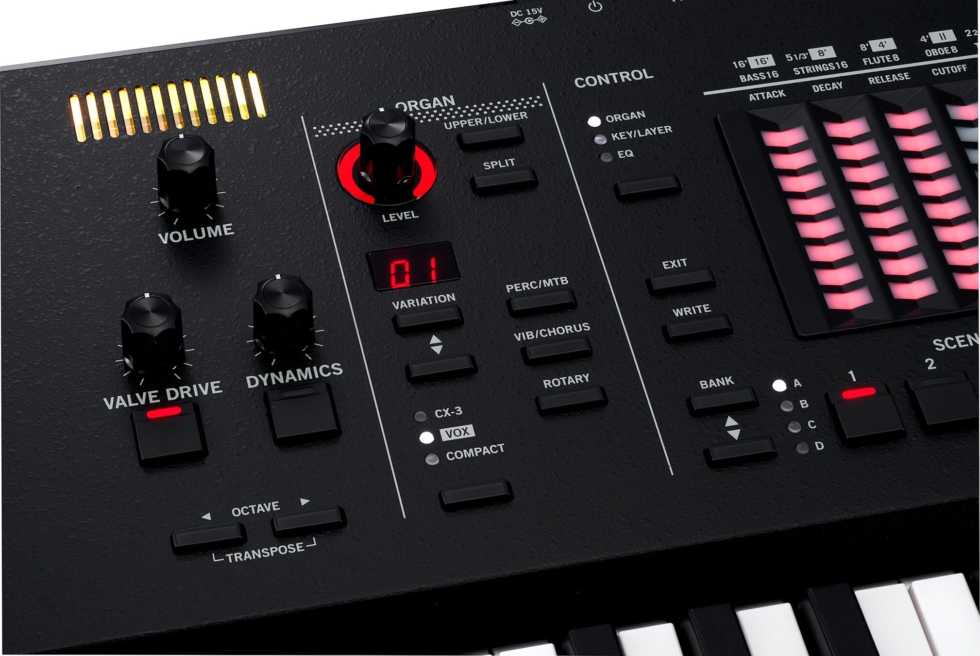 Vox Continental 73BK Performance Synthesizer, Action Position Back