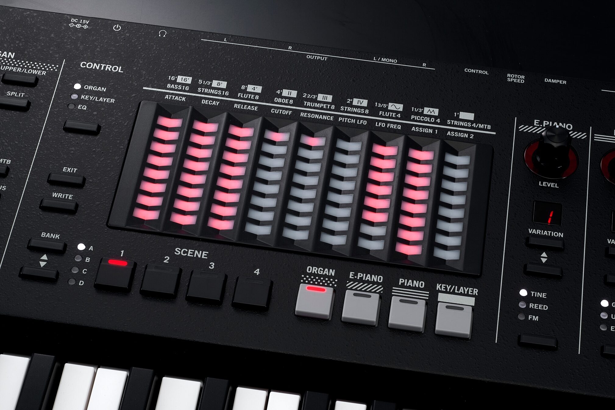 Vox Continental 73BK Performance Synthesizer, Action Position Back