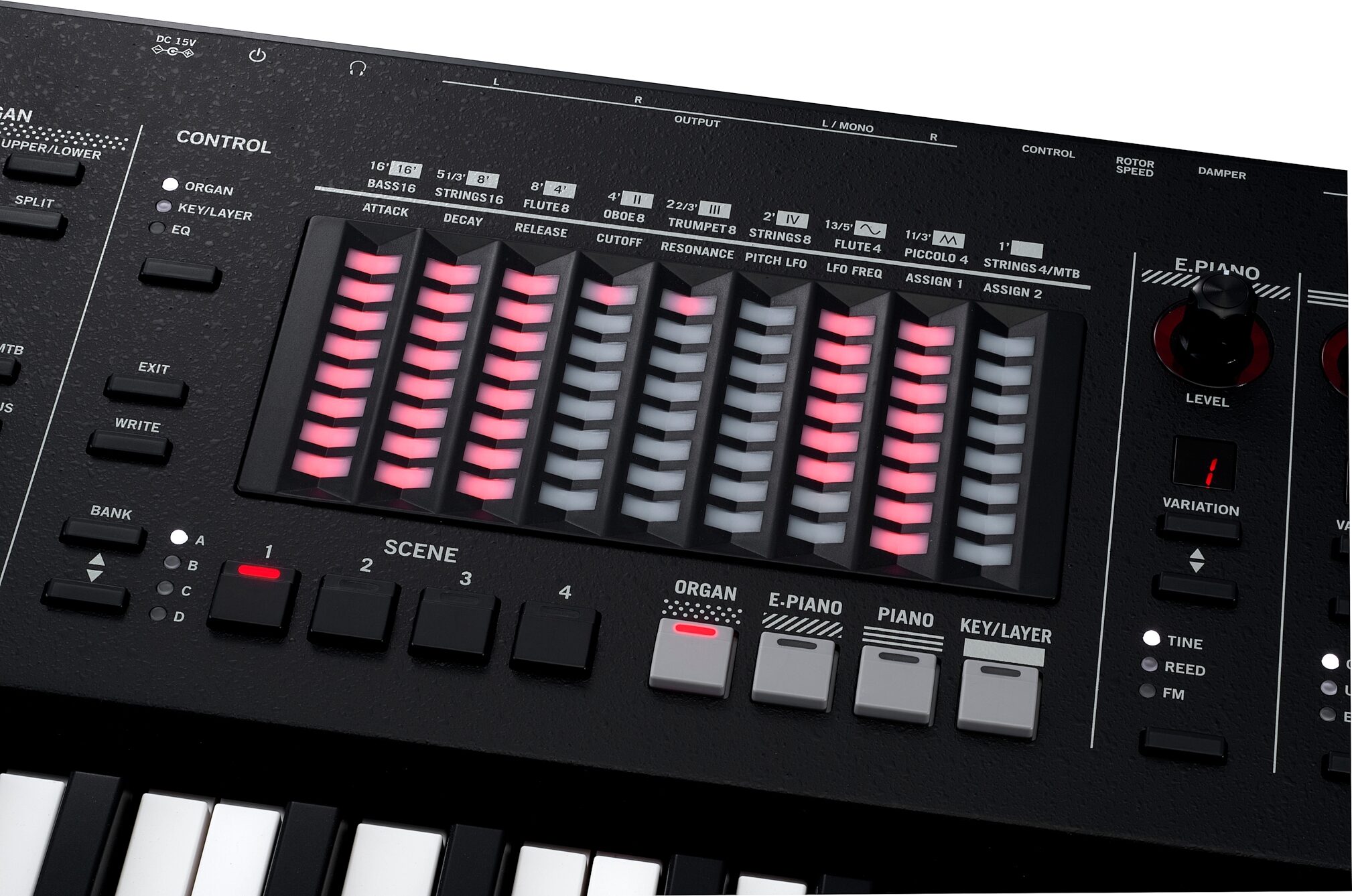Vox Continental 73BK Performance Synthesizer, Action Position Back