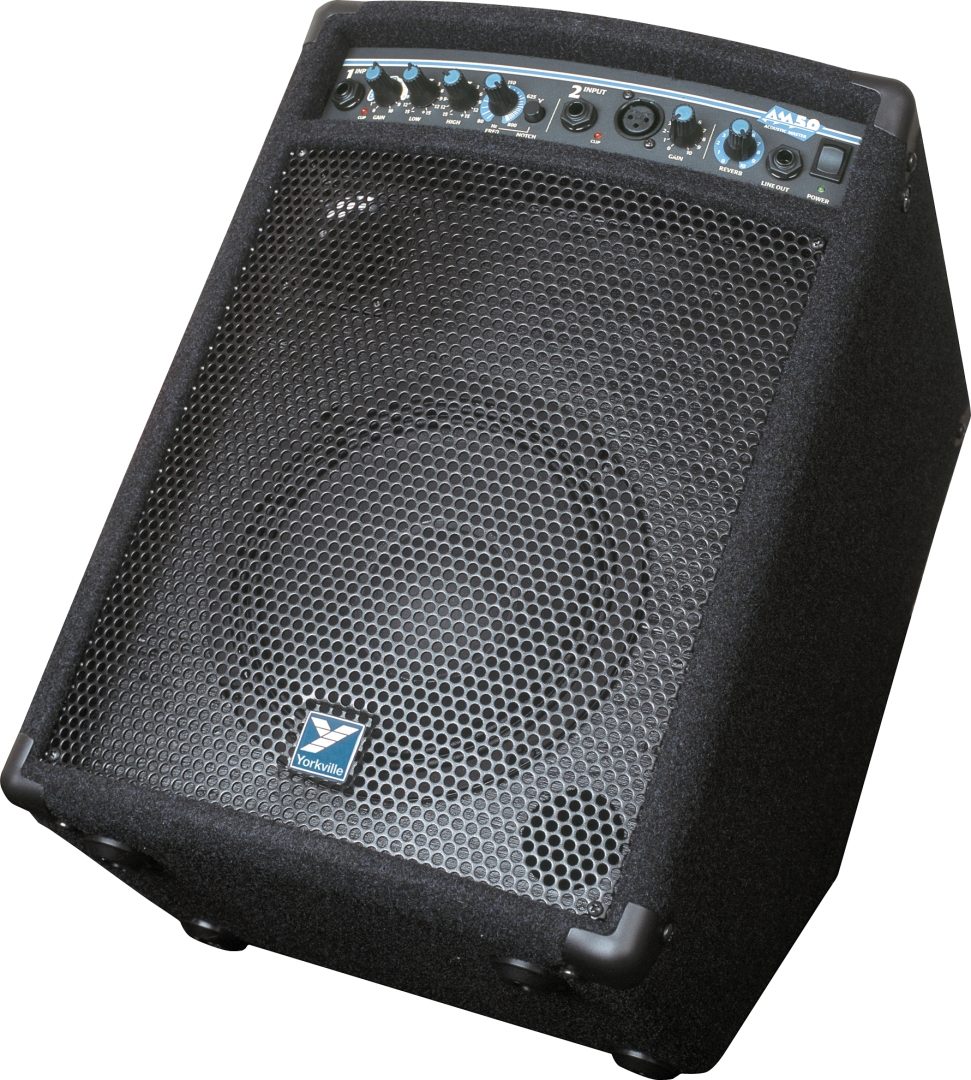 Traynor AM50 Acoustic Combo Amplifier with Reverb (50 Watts, 1x8 in.), Main