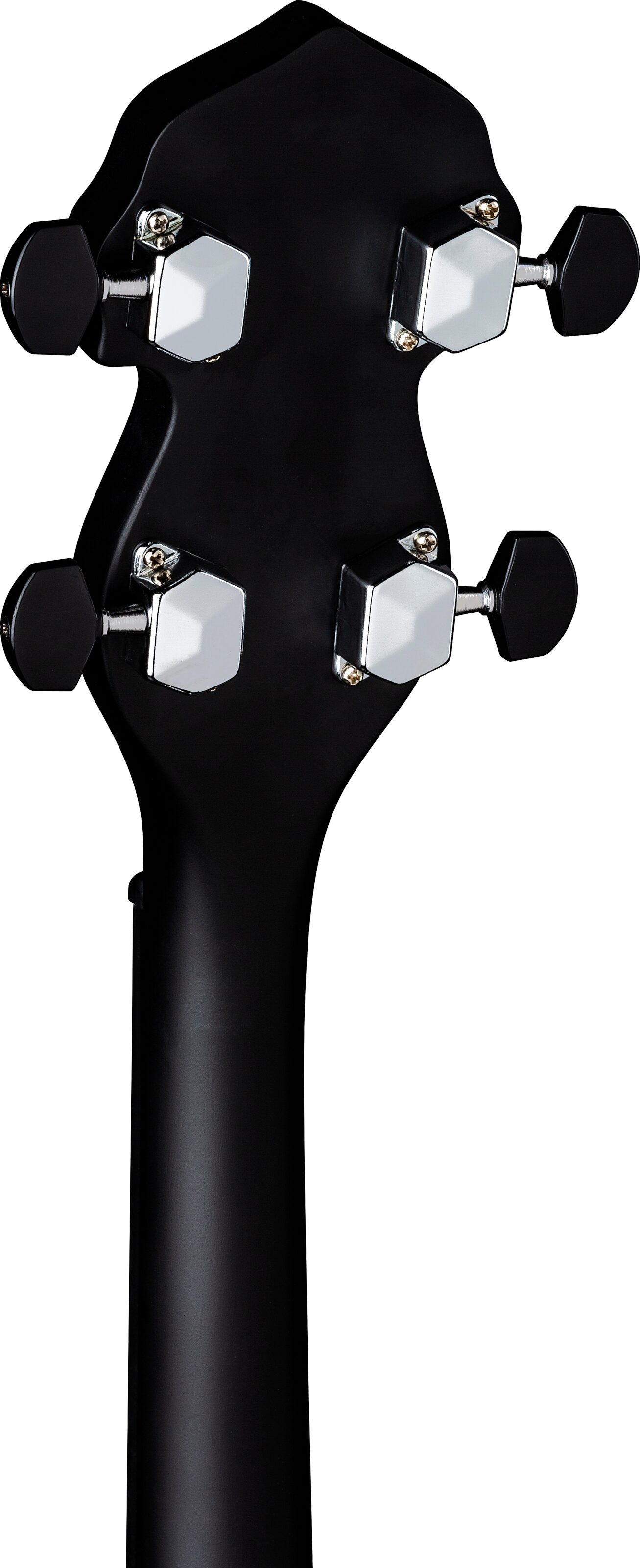 Luna Moonbird Acoustic-Electric Banjo, 5-String, Rear detail Headstock