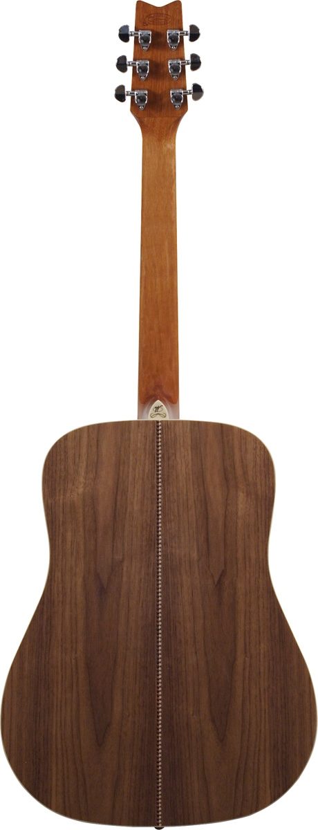 Washburn D10S Rarewood Acoustic Guitar (with Gig Bag), Walnut