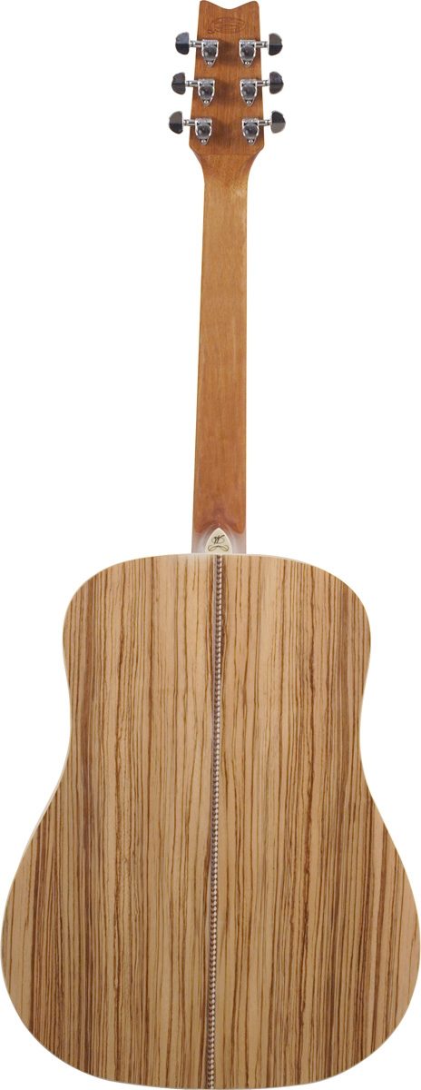 Washburn D10S Rarewood Acoustic Guitar (with Gig Bag), Zebrawood