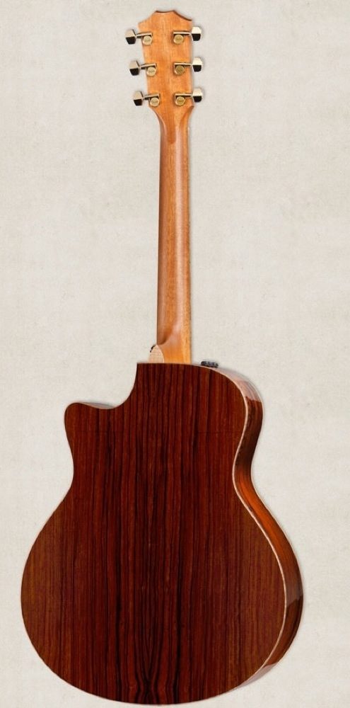 Taylor 816CE LTD 2012 Spring Limited Edition Acoustic-Electric Guitar, Rear