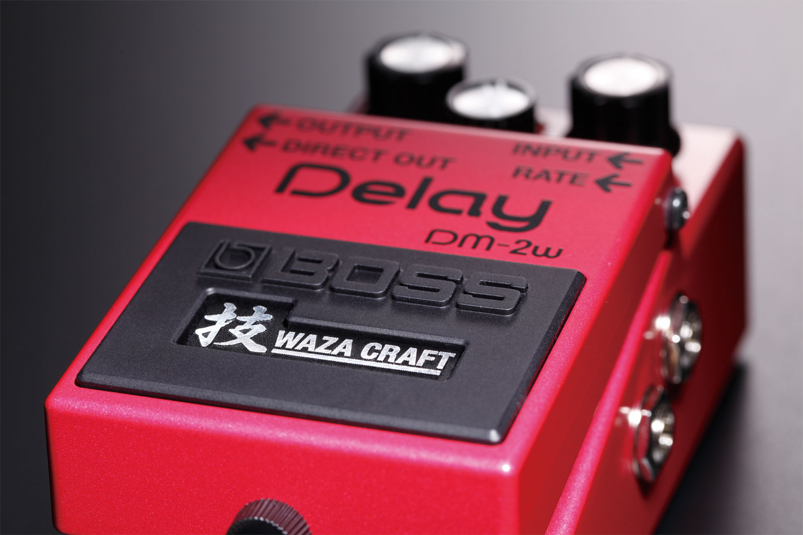 Boss DM-2W Delay Waza Craft Special Edition Pedal | zZounds