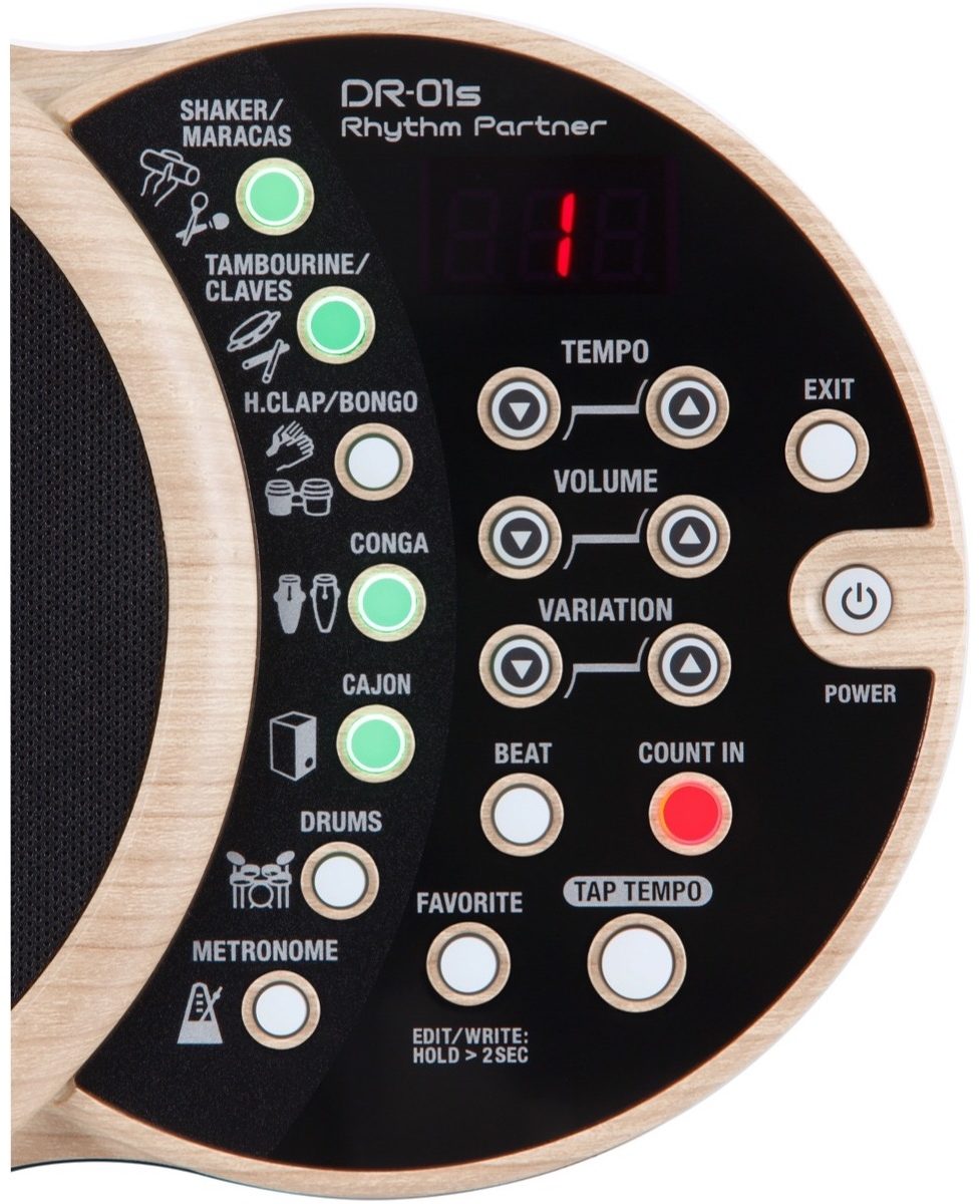 Boss DR-01S Rhythm Partner | zZounds