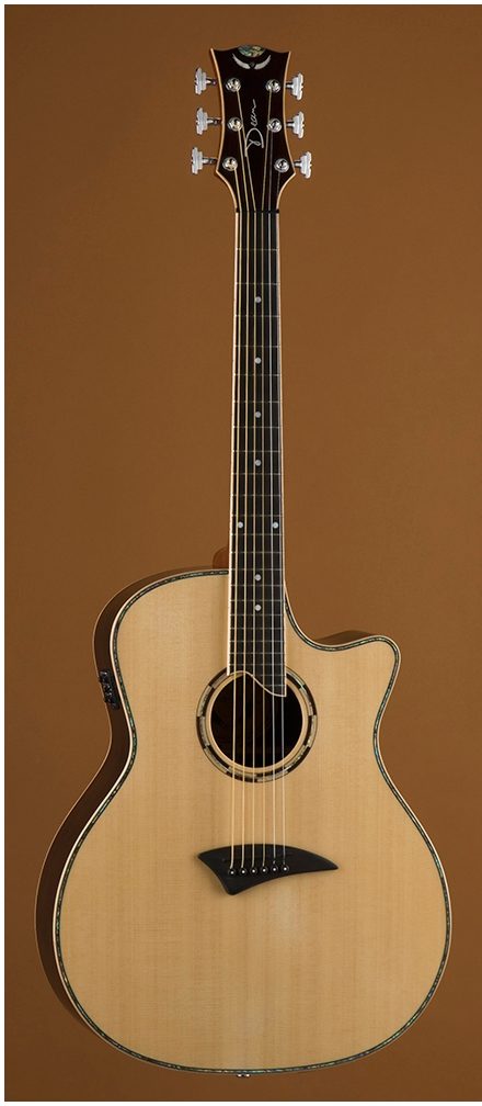 Dean ディーン Exotica Acoustic-Electric Guitar, All Solid Wood