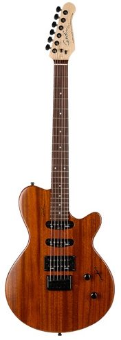 Godin Exit 22 Electric Guitar (Rosewood, with Gig Bag), Main