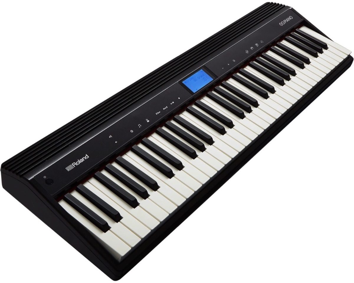 Roland GO-61P GO:PIANO Personal Digital Piano | zZounds