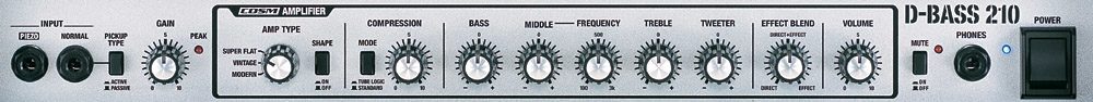 Roland D-Bass 115 Bass Combo Amplifier (300 Watts, 1x15 in.), COSM