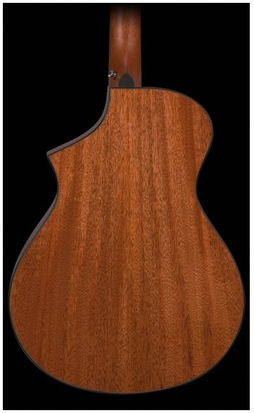Breedlove D25SM Atlas Series Studio Dreadnought Acoustic-Electric Guitar (with Gig Bag), Back