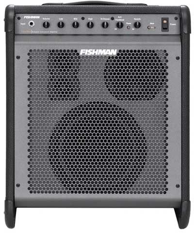 Fishman Loudbox Acoustic Guitar Amplifier (250 Watts), Alternate