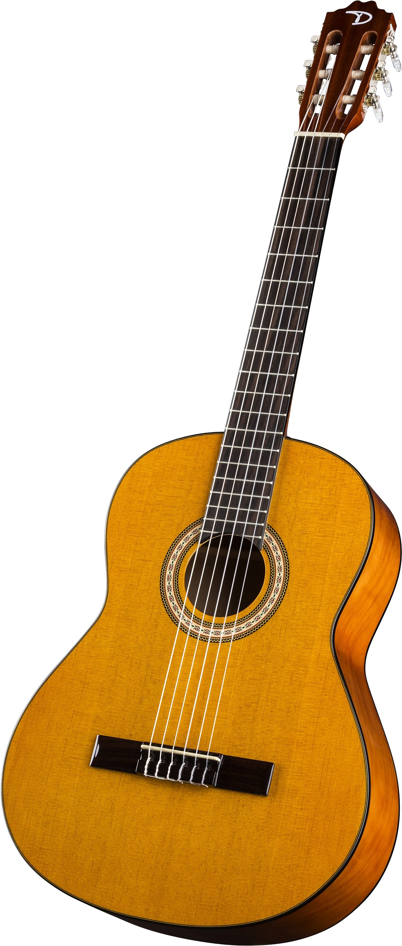 Dean Classical Acoustic Guitar Package, Action Position Back