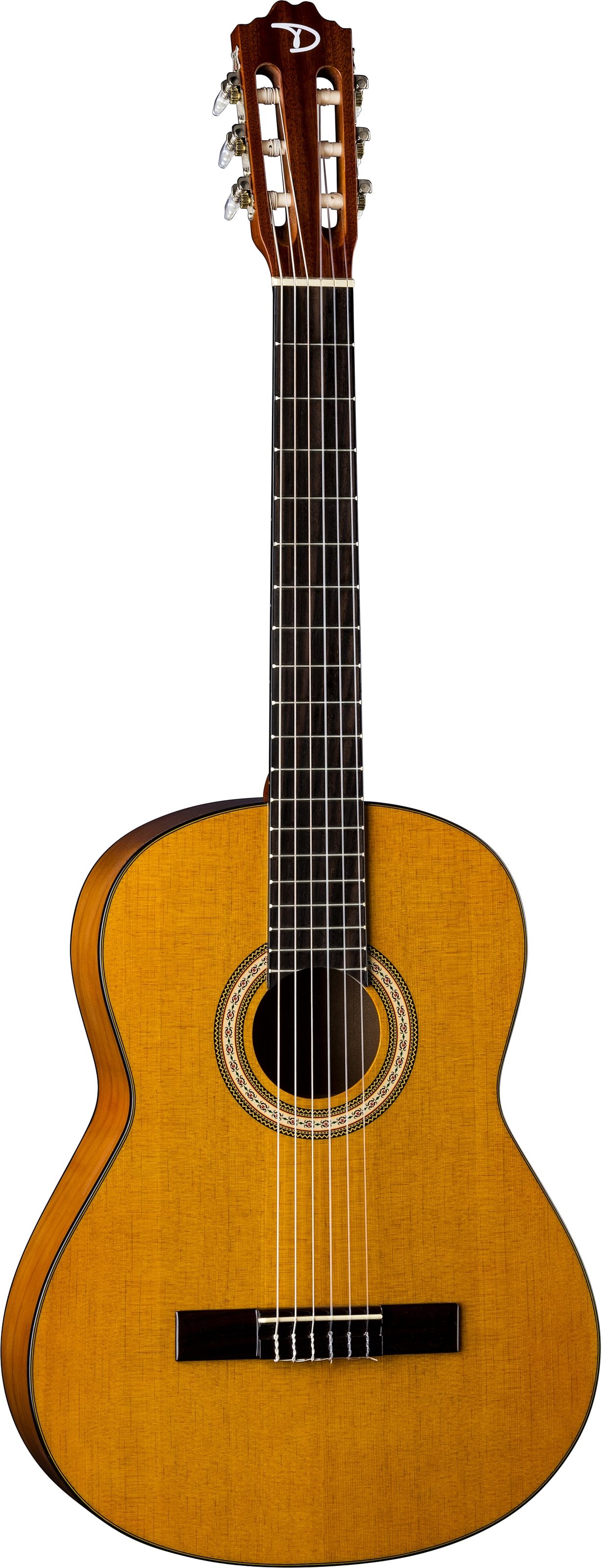 Dean Classical Acoustic Guitar Package, Action Position Back
