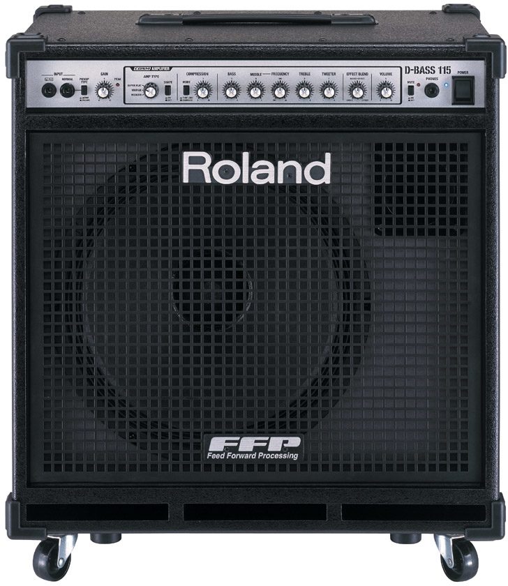 Roland D-Bass 115 Bass Combo Amplifier (300 Watts, 1x15 in.), Main
