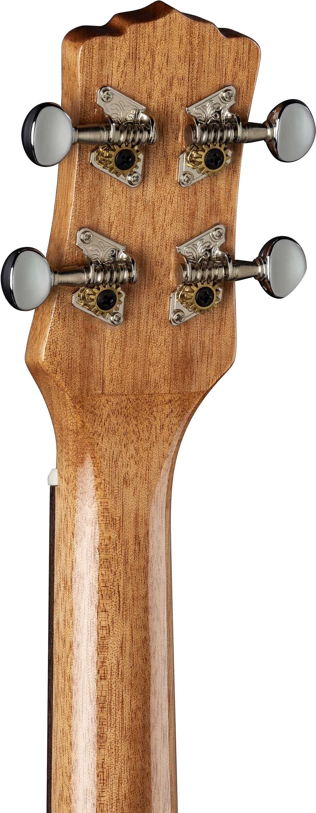 Luna Tenor Ziricote Ukulele (with Gig Bag), Rear detail Headstock