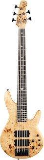 Michael Kelly Pinnacle 5 Custom Electric Bass Guitar