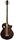 Michael Kelly Dragonfly 5 Acoustic-Electric Bass Guitar, 5-String, Ovangkol Fingerboard -  Java