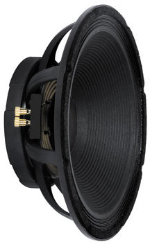 Peavey 1502 DT BW Black Widow Speaker (15"), Main