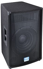 Peavey TLS5X Full-Range Speaker Cabinet (300 Watts, 15 in.), Main