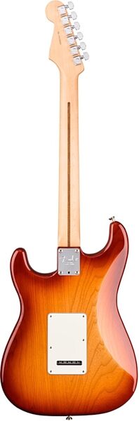 Fender American Pro Stratocaster Electric Guitar, Maple Fingerboard (with Case), Sienna Sunburst Back