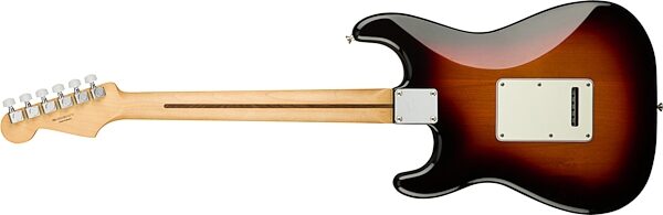 Fender Player Stratocaster Electric Guitar (Pau Ferro Fingerboard), Action Position Back