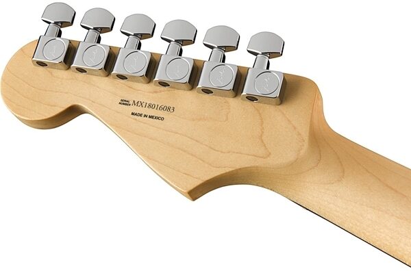 Fender Player Stratocaster Electric Guitar (Pau Ferro Fingerboard), View1