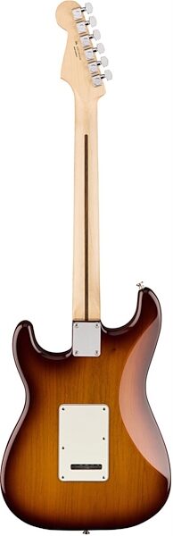 Fender Standard Stratocaster Plus Top Pau Ferro Electric Guitar, Back