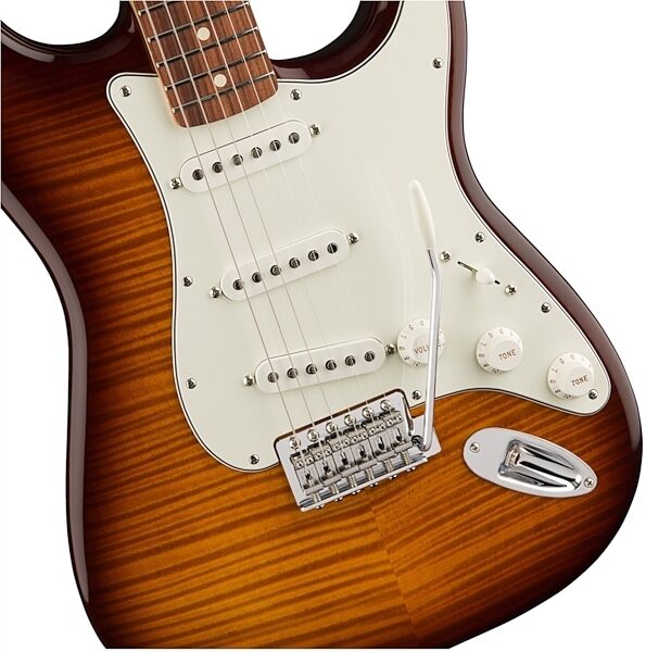Fender Standard Stratocaster Plus Top Pau Ferro Electric Guitar, View