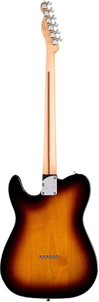 Fender Deluxe Telecaster Thinline Electric Guitar (Rosewood, with Gig Bag), Back