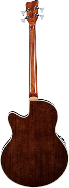 Warwick RockBass Alien Deluxe Thinline Acoustic-Electric Bass (with Gig Bag), Main Back