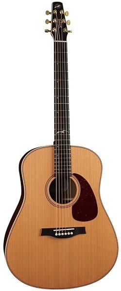 Seagull Artist Mosaic Element Acoustic-Electric Guitar (with Case), Main