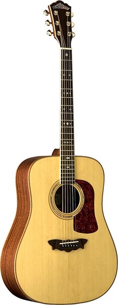 Washburn D52SW Timbercraft Acoustic Guitar (with Case), Main