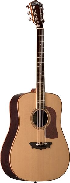 Washburn D56SW Timbercraft Acoustic Guitar (with Case), Main