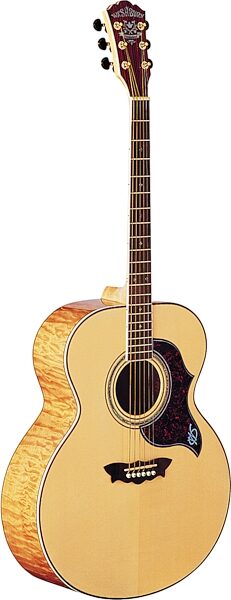 Washburn J28SDL Cumberland Jumbo Acoustic Guitar (with Case), Main