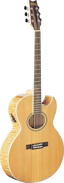 Washburn EA20SDL Festival Acoustic-Electric Guitar, Natural
