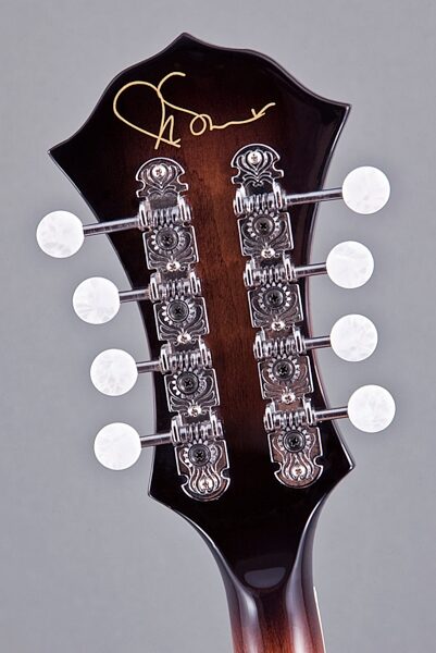 Fender Robert Schmidt Acoustic-Electric Mandolin, Signature
