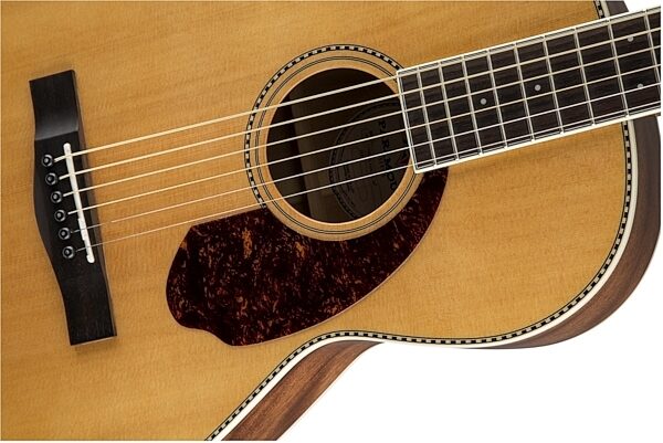 Fender Paramount PM2 Standard Parlor Acoustic-Electric Guitar (with Case), Soundhole